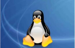 Novo vírus sequestra arquivos de usuários do Linux