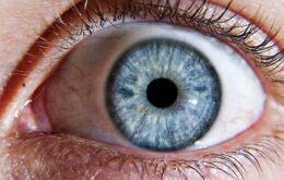 Olhar para telas o dia inteiro pode danificar células da retina