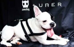 Uber está desativando o UberPET no Brasil