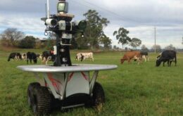 ‘Robô-rancheiro’ conseguirá cuidar sozinho de fazendas de gado