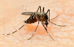 Vacina contra o zika recebe aval para testes em humanos