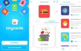 Duolingo quer expandir serviço em educação para além dos cursos de línguas