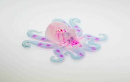 Conheça o octobot, o primeiro robô totalmente autônomo com corpo maleável