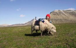 Google Sheep View: Google instala câmeras em ovelhas para mapear ilhas remotas