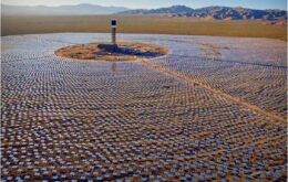 Usina de energia solar nos EUA mata 6 mil pássaros por ano