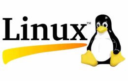 5 motivos por que o Linux pode ser a melhor opção para a sua empresa