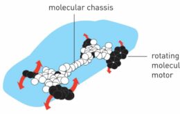 Nobel de Química vai para cientistas que criaram máquinas feitas de moléculas