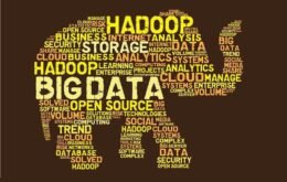 Entenda como o Hadoop pode deixar sua infraestrutura mais eficiente