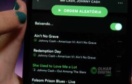 Como usar o Spotify pela tela inicial do Android