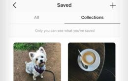 Instagram agora permite salvar fotos da rede social em coleções