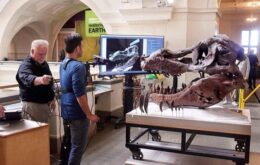 Kinect é usado para escanear o crânio de um Tiranossauro Rex