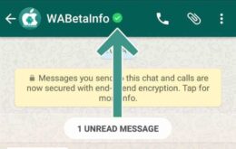 Surgem mais informações sobre suposta versão do WhatsApp para empresas