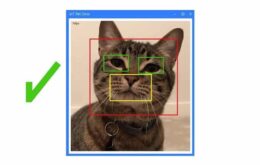 Microsoft cria reconhecimento facial para gatos destrancarem portas