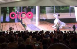 Sony revela o cachorro robótico Aibo; conheça as novidades da empresa