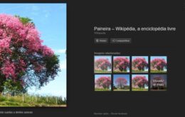 Google remove opção ‘Ver imagem’ de resultados de busca