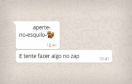 A verdade sobre o ‘link do esquilo’ que trava o WhatsApp no Android