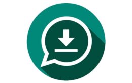 WhatsApp: como baixar o status de um amigo no app