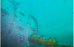 Data center submerso: veja as câmeras da Microsoft no fundo do mar
