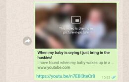 WhatsApp Beta para Android agora reproduz vídeos sem sair do app