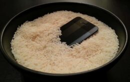 Colocar o celular no arroz adianta? Conheça mitos e verdades dos smartphones