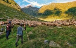 Fotógrafa premiada diz que basta um smartphone para capturar boas fotos