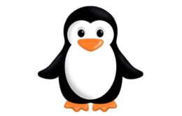 As 5 melhores distribuições do Linux para quem tem pouco espaço em disco