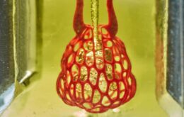 Cientistas criam réplicas de órgãos humanos em escala microscópica