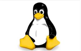 Linux Kernel 5.8 é lançado oficialmente por Linus Torvalds