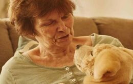 Vídeo: cachorro robô conforta pacientes com Mal de Alzheimer