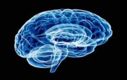 MIT cria algoritmo para tornar tratamentos cerebrais mais precisos