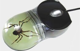 Empresa vende mouses transparentes com aranhas e outros insetos dentro