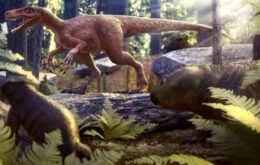 Pesquisadores descobrem no Brasil fósseis do dinossauro mais antigo do mundo