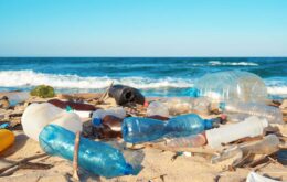 Estudo detecta quantidade recorde de microplástico no solo marinho