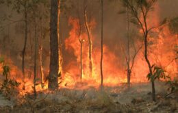 Incêndios na Austrália podem mudar o clima em todo o mundo
