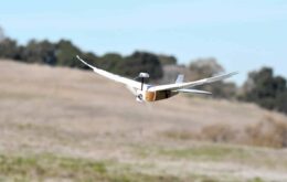 Pesquisadores criam ‘drone pombo’ utilizando penas de aves reais