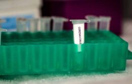 Coronavírus é recriado em laboratório pela primeira vez