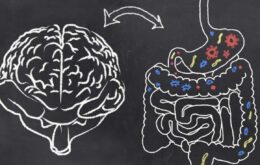 Personalidade pode ser influenciada por bactérias no intestino, diz estudo