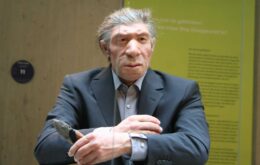 Cientistas criam ‘minicérebros’ contendo DNA neandertal