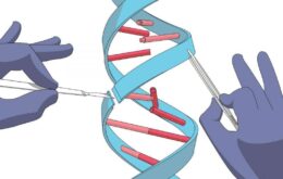 Experimentos com CRISPR vão aprimorar técnica em humanos