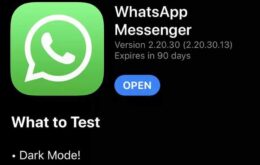 Modo escuro do WhatsApp para iPhone chega na última versão beta