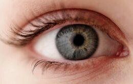 Implante conectado diretamente ao cérebro devolve visão a cegos