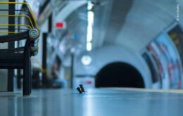 Foto épica de ‘briga de ratos’ no metrô de Londres vence concurso
