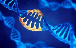 Anvisa aprova normas para terapias genéticas