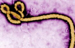Coronavírus pode ser tão mortal quanto ebola em casos de internação, diz estudo britânico