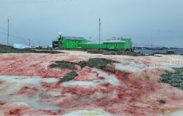 ‘Neve de sangue’ na Antártica denuncia o desequilíbrio ambiental