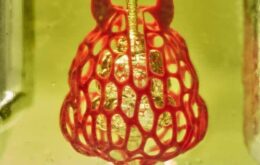 Órgãos humanos são replicados em escala microscópica