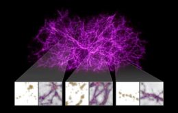 Cientistas usam bolor para reconstruir teias cósmicas que ligam matérias do universo