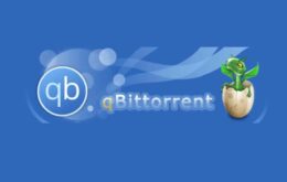 Programa qBittorrent da loja do Windows não é oficial