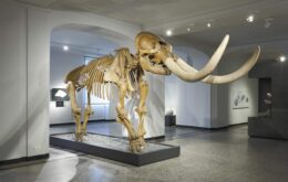 Smithsonian promove tour virtual de exposição em homenagem a Humboldt