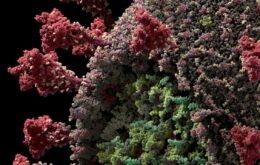 Vírus da Covid-19 usa enzima para se ‘camuflar’ e invadir células